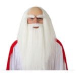 Bílá paruka a plnovous pro druida zepředu